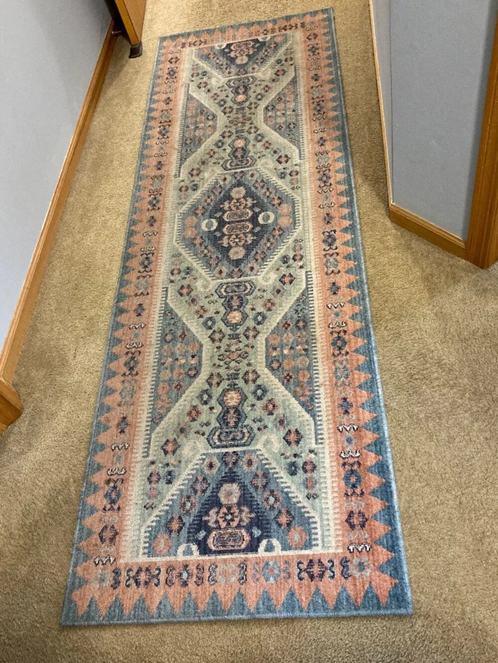 Hallway, Entryway, Kitchen Runner Indoor Area Rug  2'4